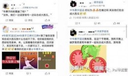 热门大瓜在线,热门大瓜事件全解析